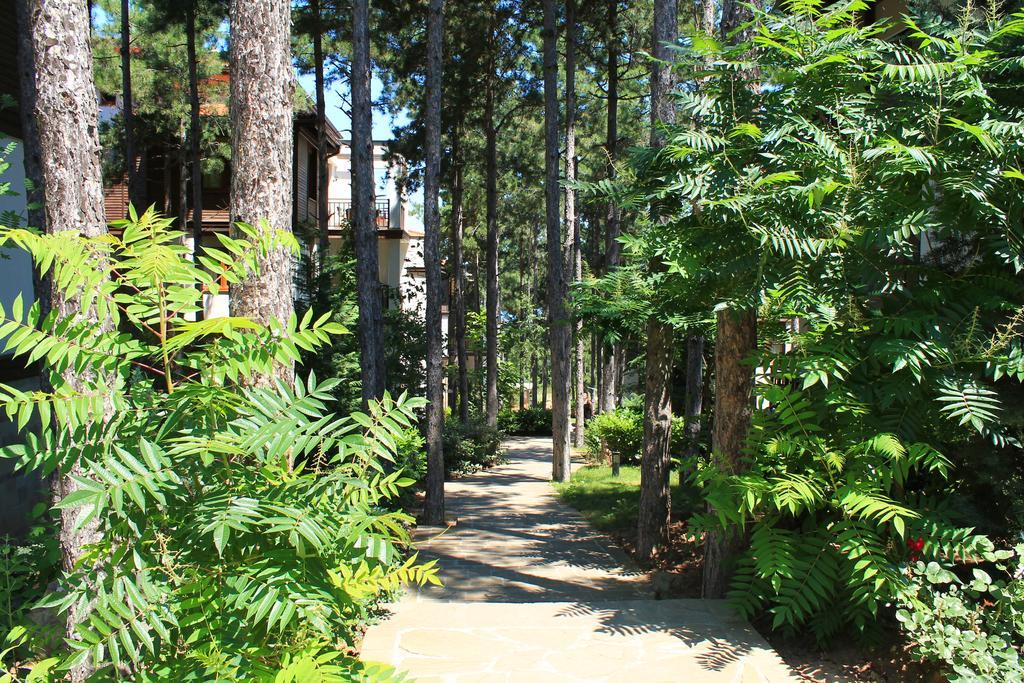 Apartments Dreambg Sozopol Phòng bức ảnh